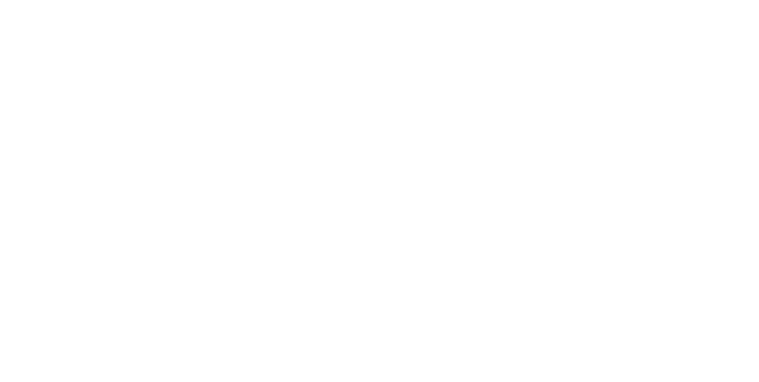 Orbi Group